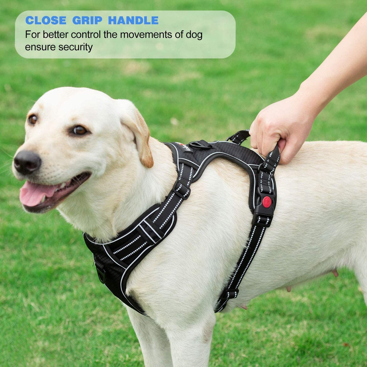 No Pull Dog Harness Adjustable Reflective Oxford Easy Control Medium Large Dog Harness with a Free Heavy Duty 5Ft Dog Leash (L (Neck: 18"-25.5", Chest: 24.5"-33"), Pink Harness+Leash)