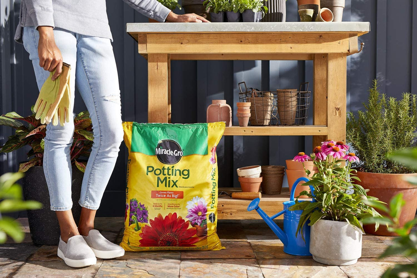 Potting Mix 1 Cu. Ft.