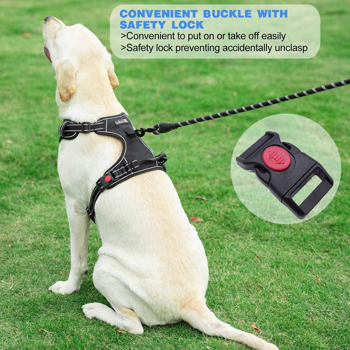 No Pull Dog Harness Adjustable Reflective Oxford Easy Control Medium Large Dog Harness with a Free Heavy Duty 5Ft Dog Leash (L (Neck: 18"-25.5", Chest: 24.5"-33"), Pink Harness+Leash)