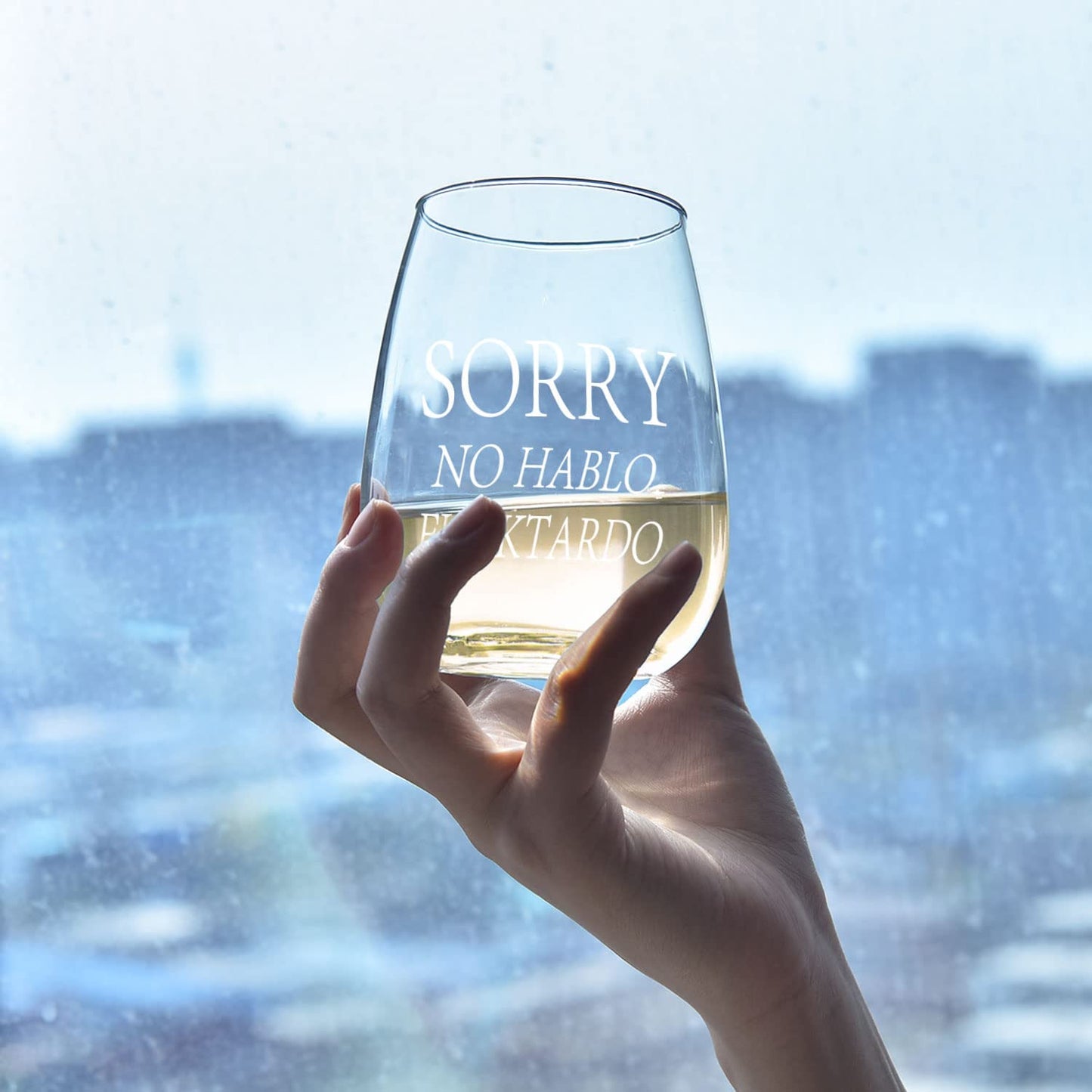 Sorry No Hablo Fuxktardo Wine Glass 15Oz, Funny Stemless Wine Glass Gifts for Women Men, Novelty Birthday Christmas Graduation Gag Gift for Friends BFF Sister Coworkers