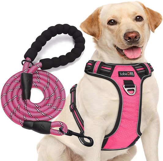 No Pull Dog Harness Adjustable Reflective Oxford Easy Control Medium Large Dog Harness with a Free Heavy Duty 5Ft Dog Leash (L (Neck: 18"-25.5", Chest: 24.5"-33"), Pink Harness+Leash)