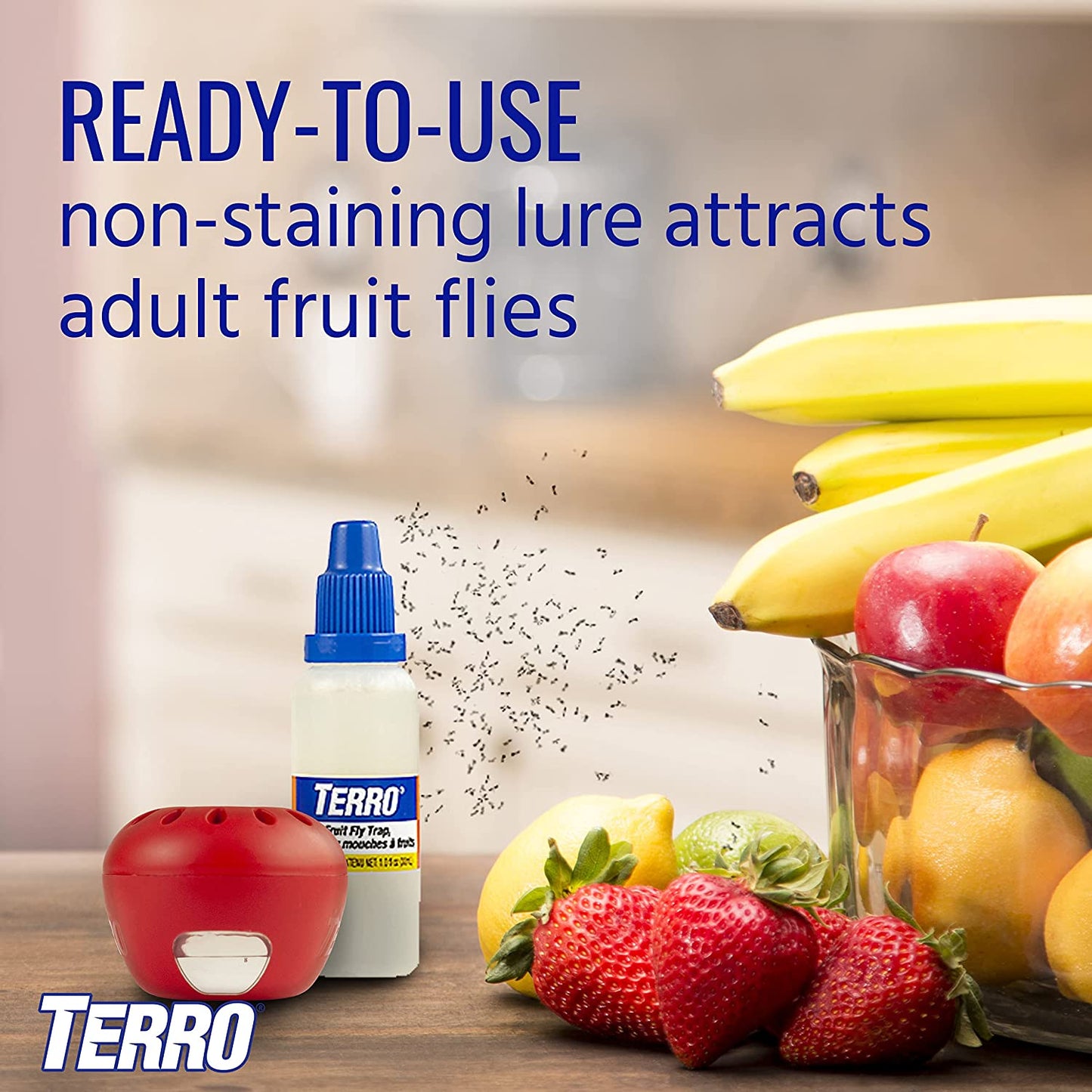 TERRO T2502 Ready-To-Use Indoor Fruit Fly Killer and Trap with Built in Window - 2 Traps + 90 Day Lure Supply